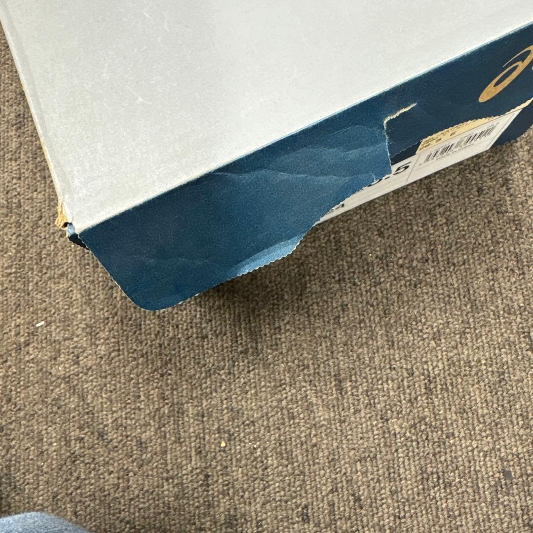 靴 ASICS GEL-KAYANO24 28.5cm