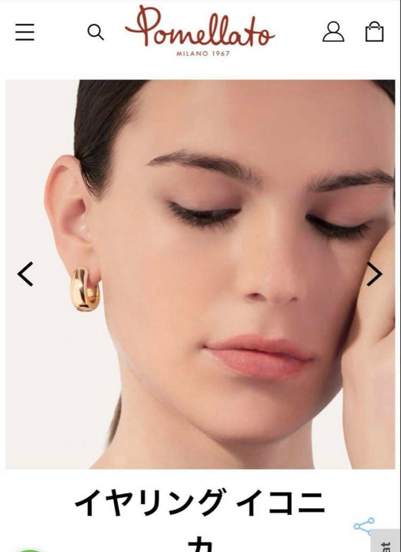 美品 ポメラート イコニカ ピアス - メルカリ
