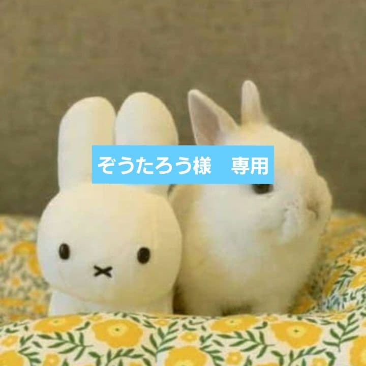 ぞうたろう 入荷情報】FERNANDES / ZO-3 大人気シリーズがお買い得価格で入荷しま