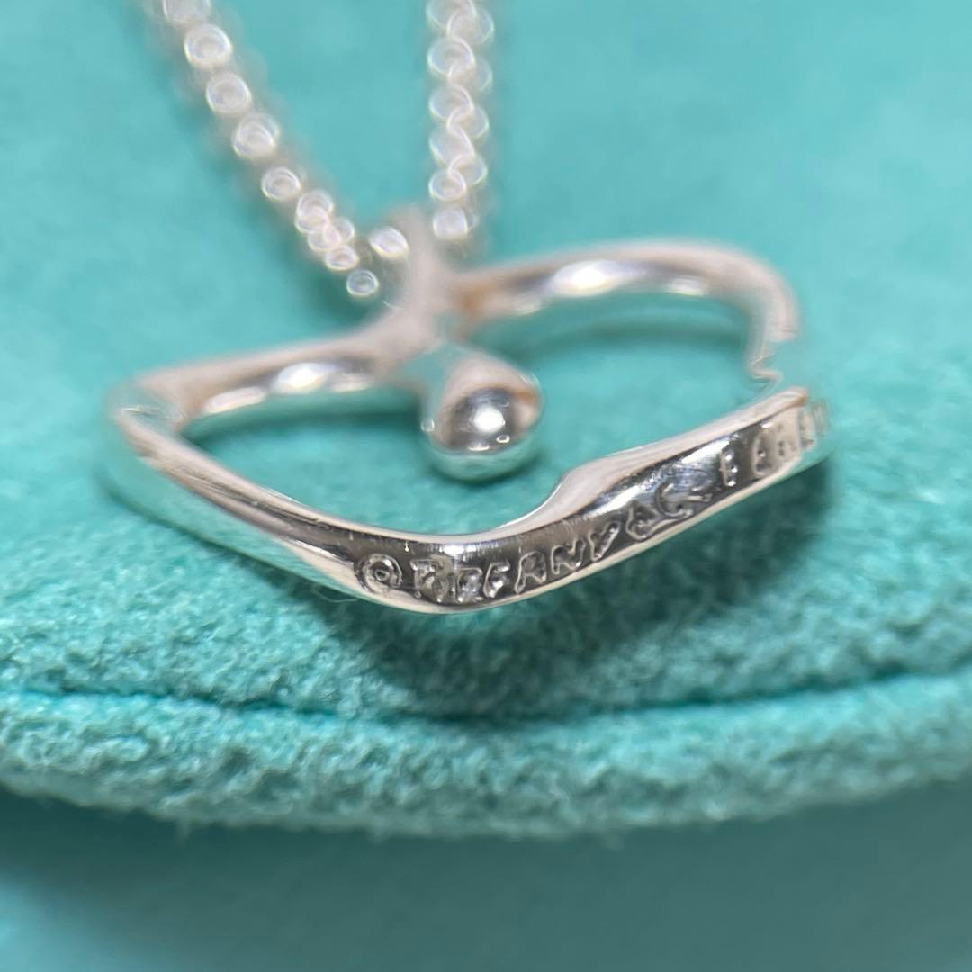 TIFFANY&Co.ティファニー アップルモチーフネックレス 925 - メルカリ