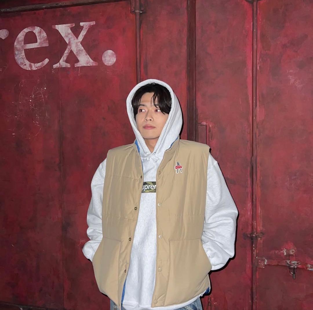 HYSTERIC GLAMOUR VIXEN GIRLワッペン ダウンベスト - メルカリ