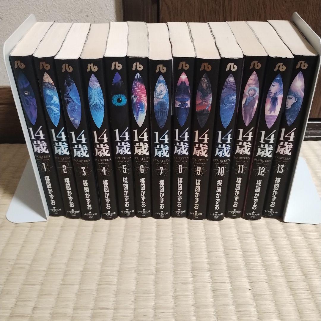 14歳 楳図かずお 文庫版 全巻 - メルカリ