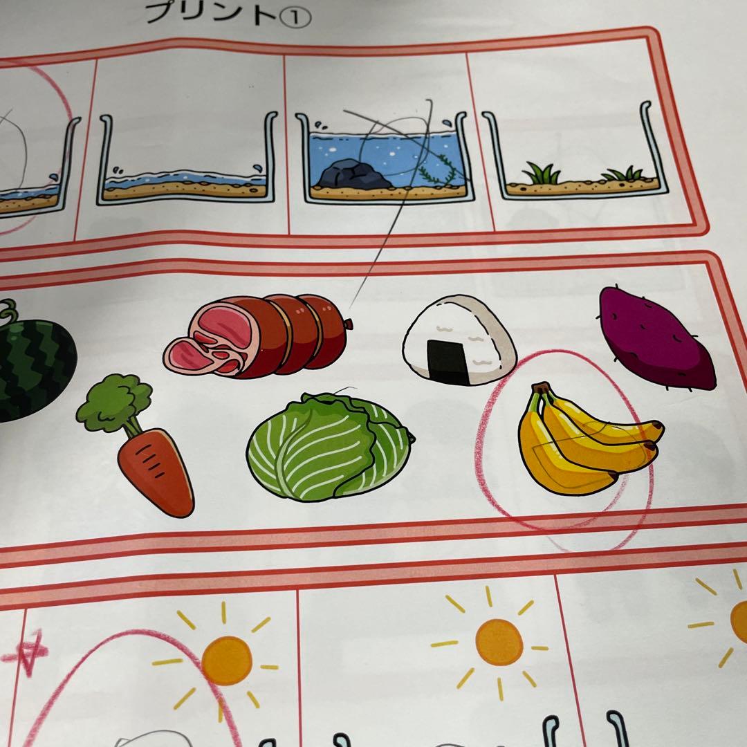 しょうがくしゃ 講習プリント 洛南高附属小 小学校受験