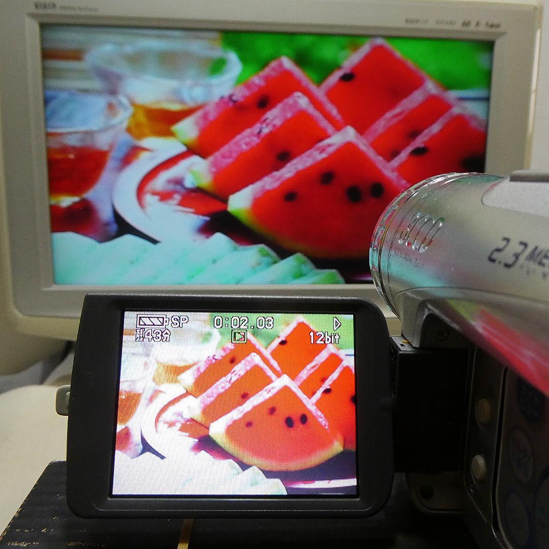 パナソニック NV-GS200 動作良好 MiniDVビデオDVDダビングに最適