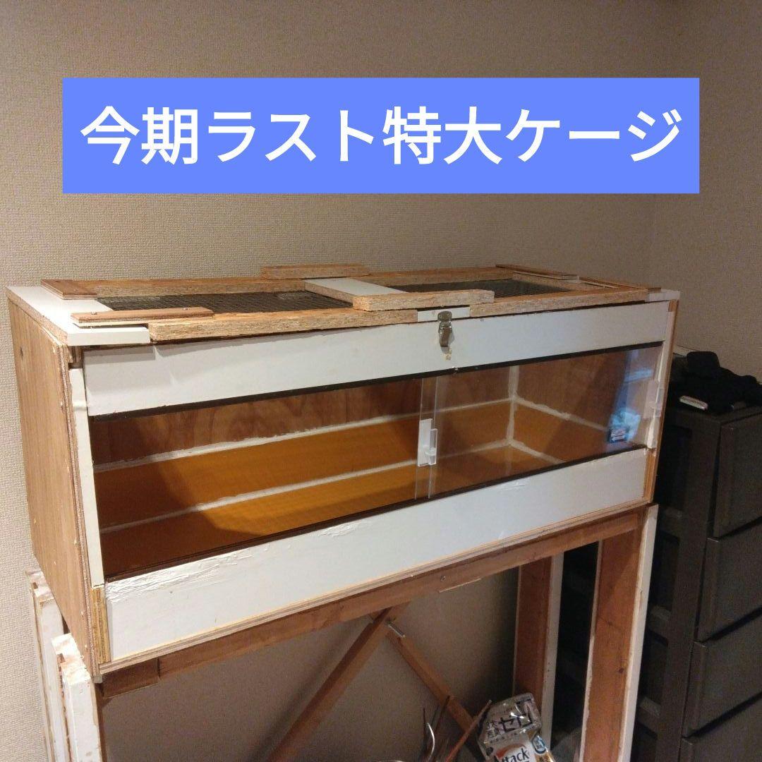 今期ラスト！自作爬虫類ケージ飼育セット Amazon | [AiO JAPAN] DIY用 爬虫類 自作 籠 ペット用 飼育 ケージ