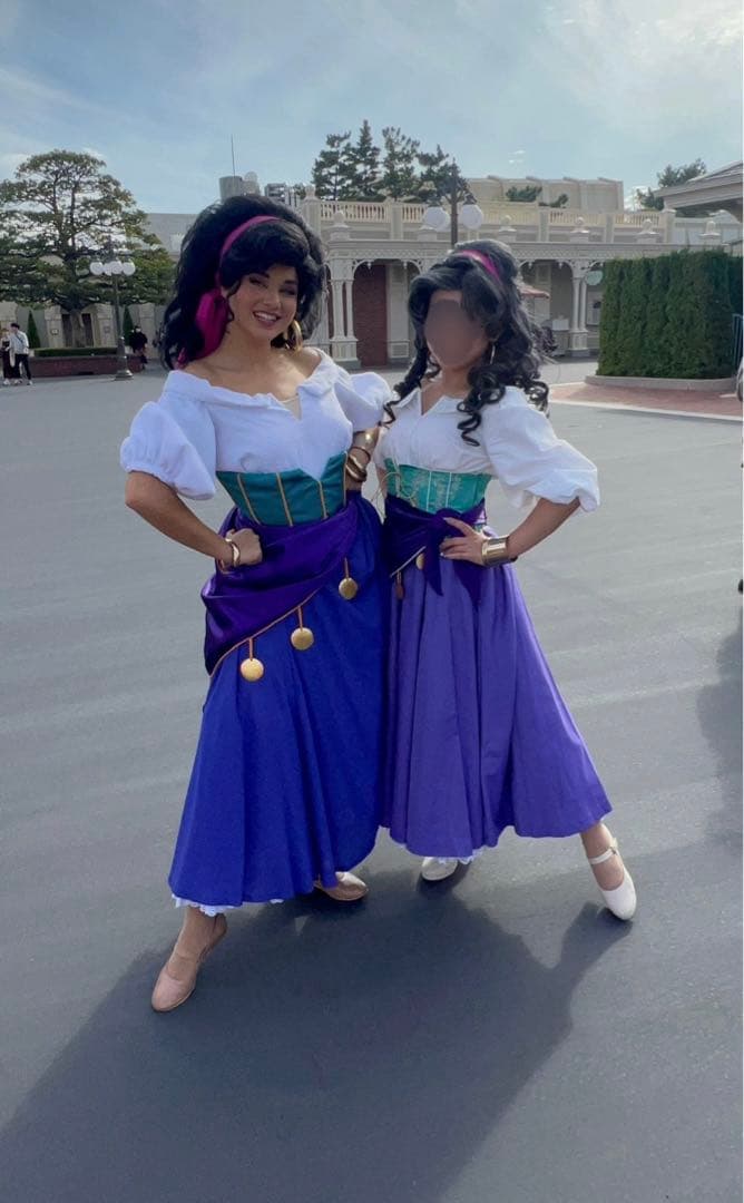 ディズニー ノートルダムの鐘 エスメラルダ ウィッグ dハロ コスプレ