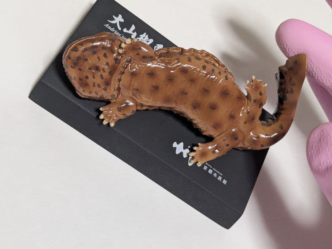 海洋堂 京都水族館限定フィギュア オオサンショウウオ - メルカリ