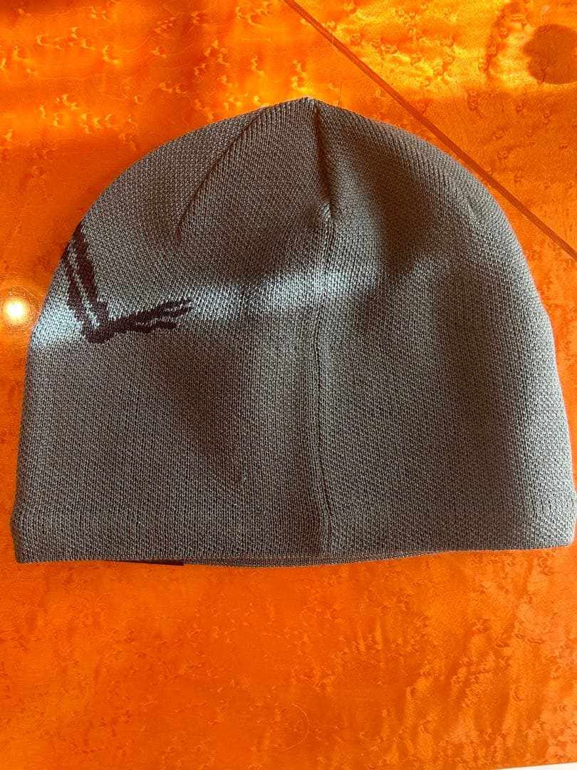 即完カラー】ARC'TERYX ビーニー