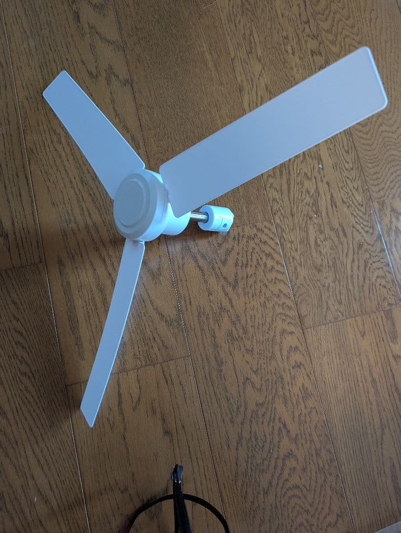 kuro kenファン【美品】DC Plus White 50cm白色 ザ・グリーンファン 限定色 シャンパンゴールド 収納袋付き 通販