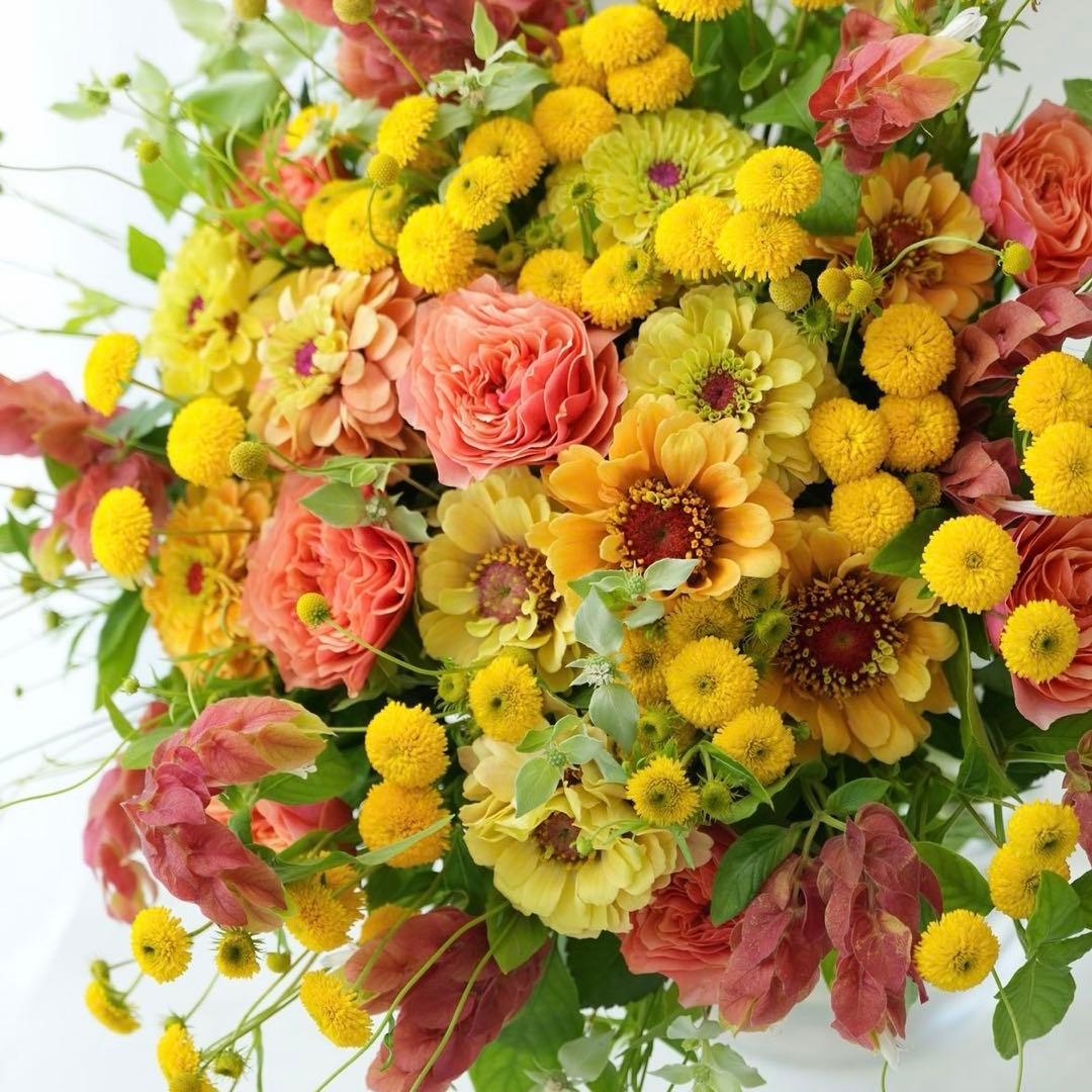 ぽち様の専用出品 たまごっちのプチプチおみせっち」とのコラボ雑貨が新登場！ | News