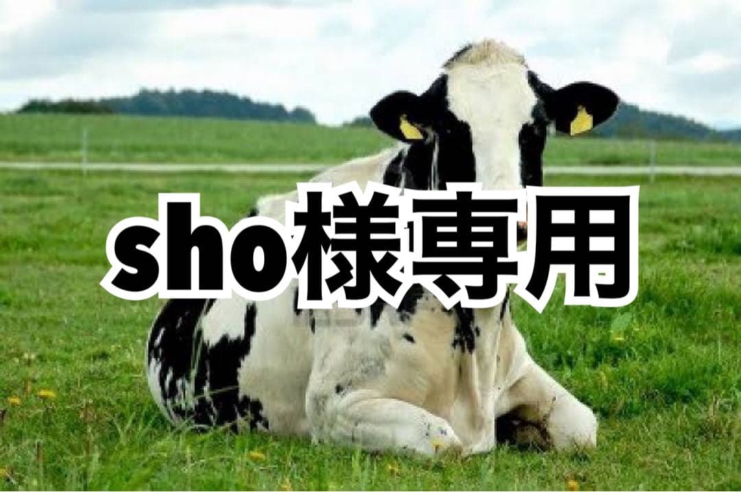 サックス.グレー.濃ピンク.ターコイズ.ピンク Amazon | サックス Eフラット アルトサックス 楽器 全身彫刻サックス