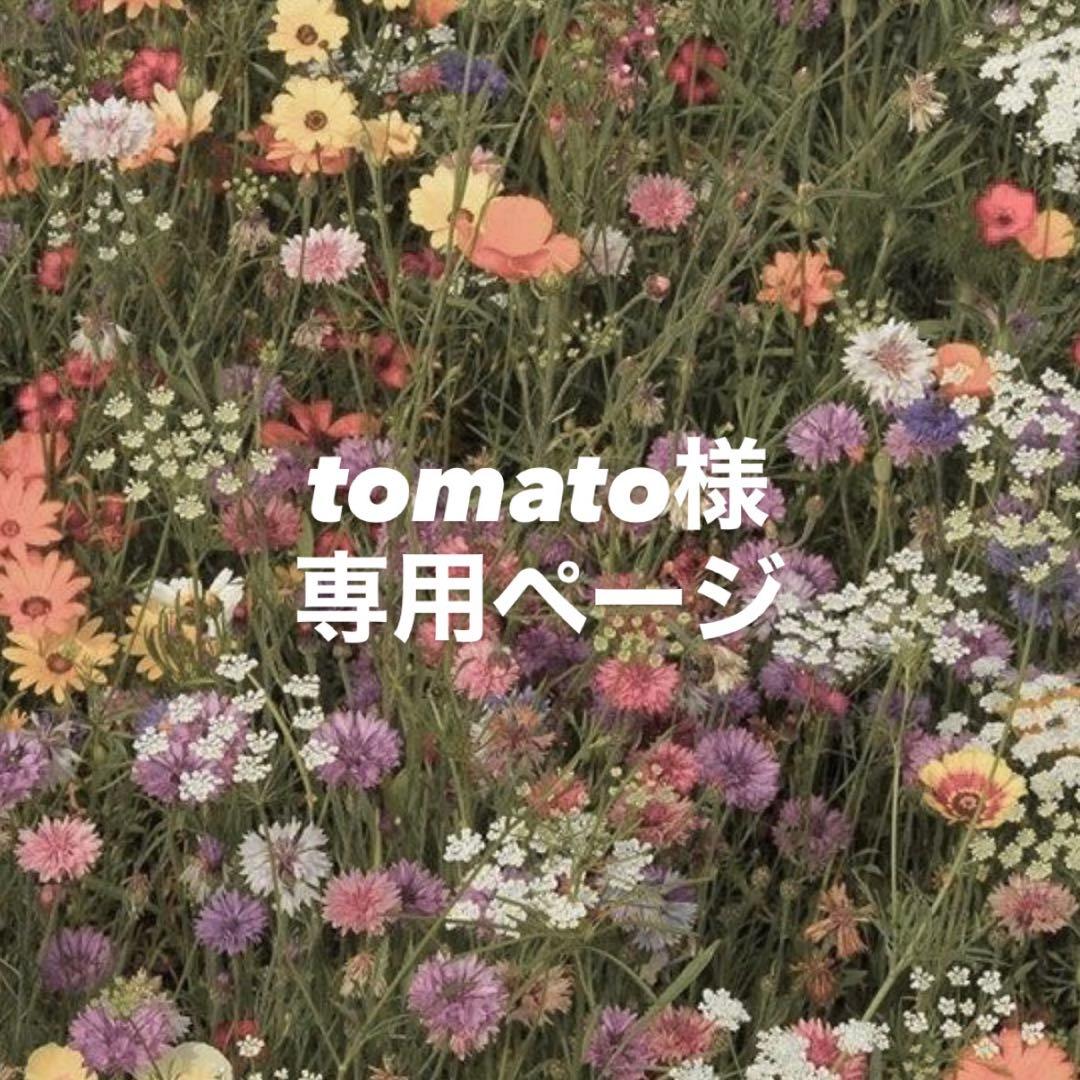 海老原鼓 グッズ ME:I 海老原鼓 日プ ポジション評価衣装 アクスタおまけ付き - メルカリ