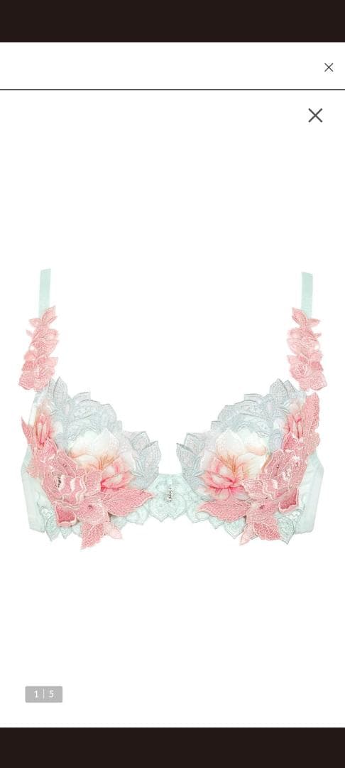 Magia様。ワコール、サルート、97グループ完売品ブラE75。 - メルカリ