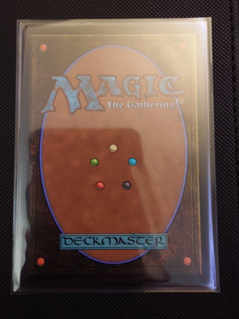 司書、ワン・シー・トン ボーダーレス 日本語