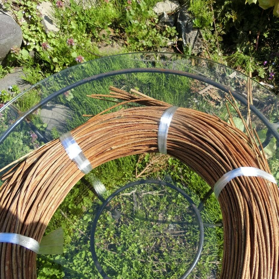 青森岩木山採取　あけび蔓　150cm～ 1.5kg