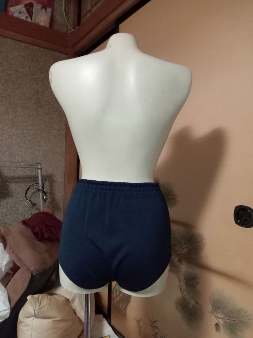 ブルマ　学販タイプ　TEIEMU 　LLサイズ69