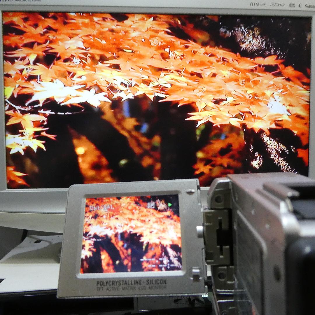 公式 ストアテレビ・オーディオ・カメラ - 動作良好 ビクター GR-DVP9