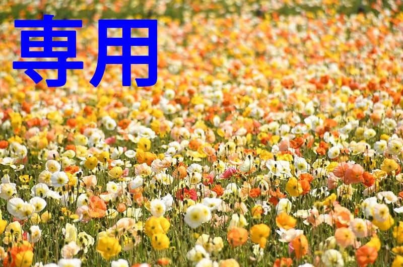 セラままさん専用 爆熱！ゼクスレター vol.11 「可能性のかたまり」 ｜ Z/X -Zillions of