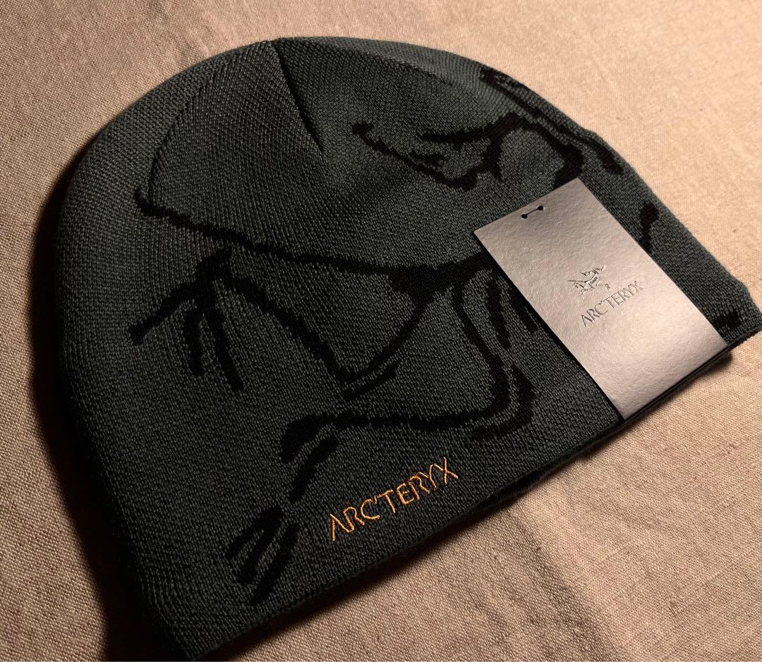 即完カラー】ARC'TERYX ビーニー