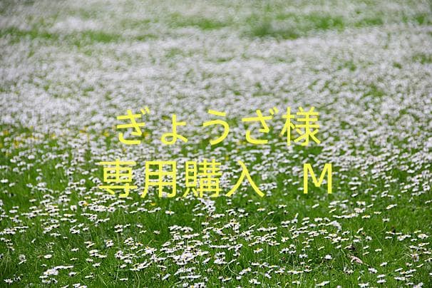 ぎょうざ購入 M 楽天市場】【3】丸上の ジャンボ餃子 大容量 60個(5個×12パック)餃子