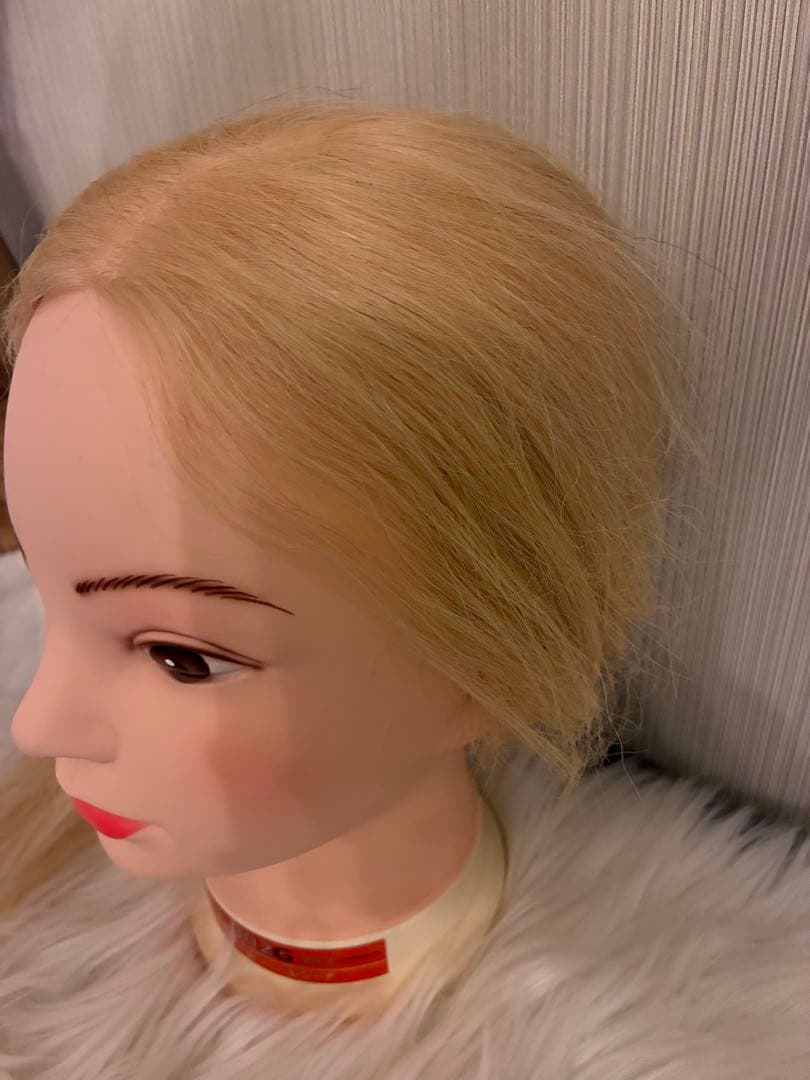 美容師 レジーナアップ練習用ウィッグLJ002Gver.2 美容師 レジーナ