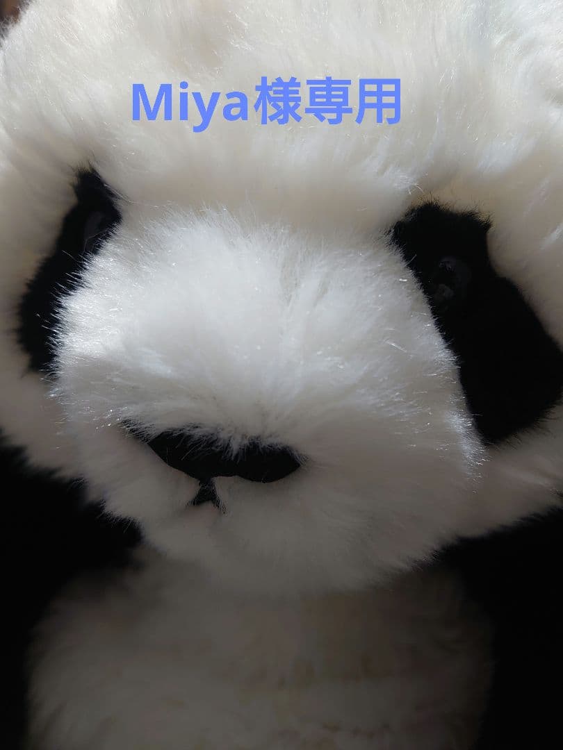 靴 Miya MDS / 三宅デザイン事務所 x ASICS『HYPER TAPING』が国内1月5日より