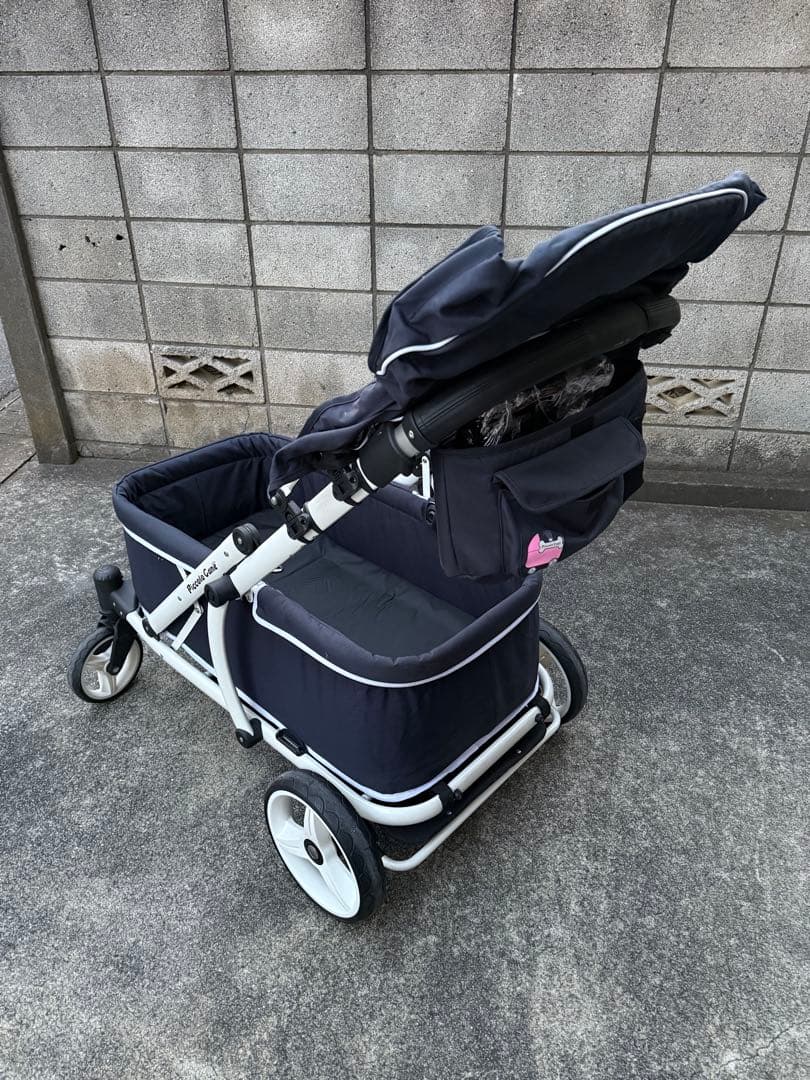 ちわぽめ　ピッコロカーネ　クレア