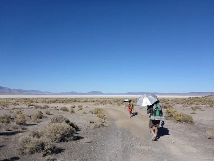 シックスムーンデザインズ 折りたたみ傘 カーボン グリップが選べる