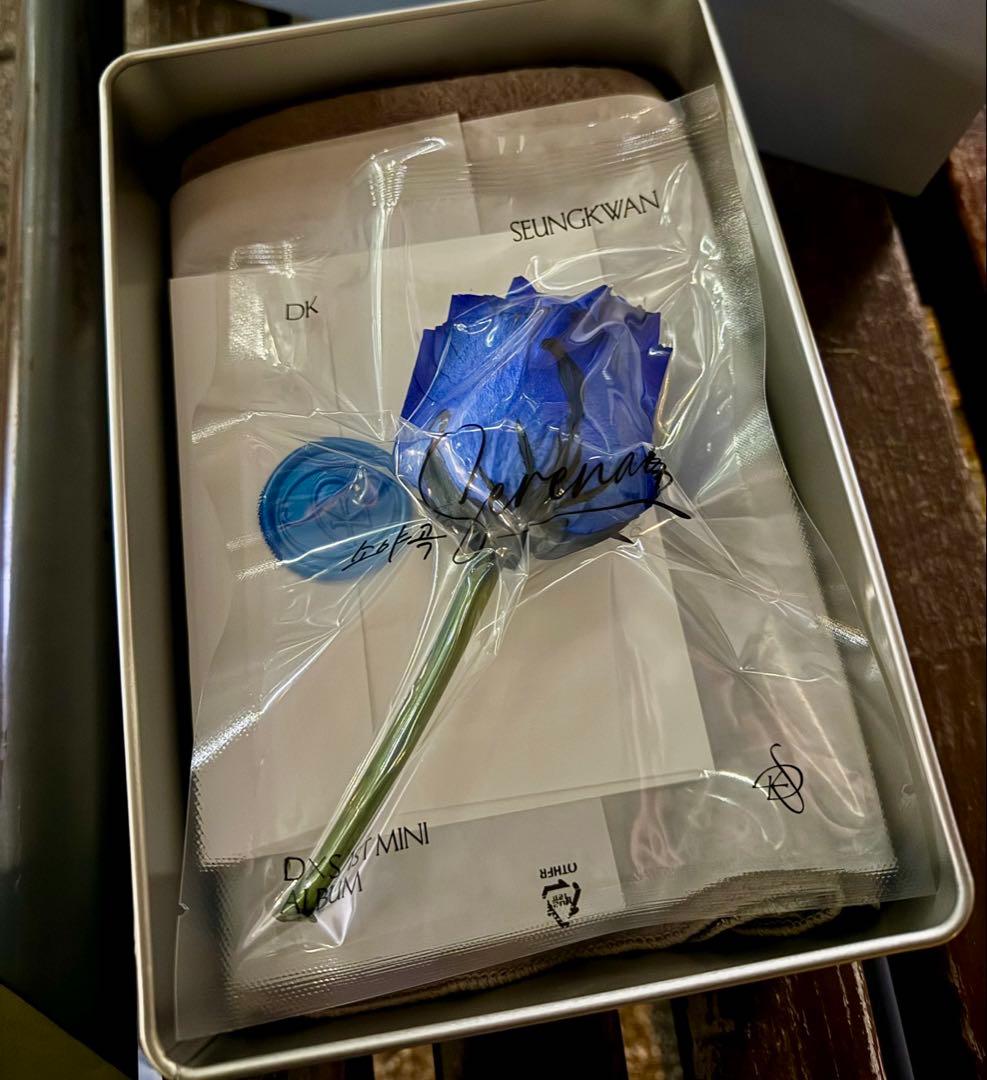 SEVENTEEN DXS サノク 参加特典 DxS (DK(ドギョム)&SEUNGKWAN(スングァン)/SEVENTEEN) 1st Mini Album
