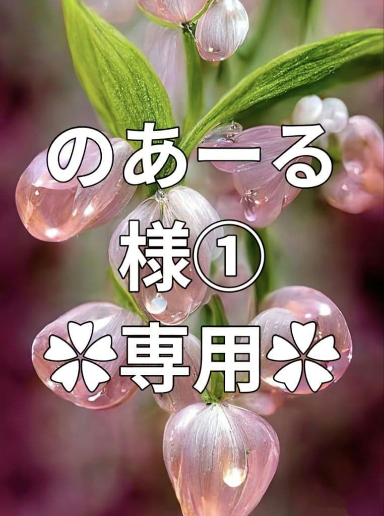 ✿のあーる様①·専用✿ハンドメイド　ピルケース ✿のあーる様②·専用✿ハンドメイド ピルケース ✿のあーる様②·専用