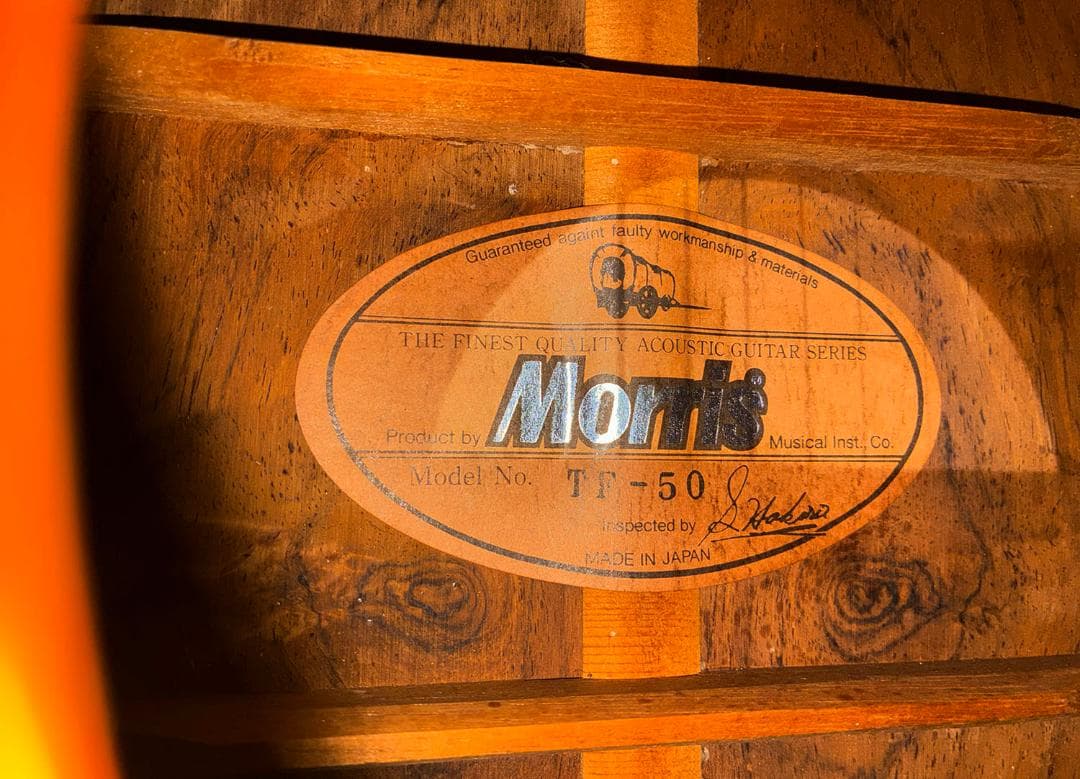 RYamA様・激鳴りハカランダ！モーリスTF-50 低弦高調整済み 試聴動画有り