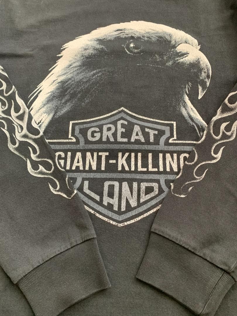 L】greatLAnd オリジナル KIMERA HD L/S 5YEARS - メルカリ