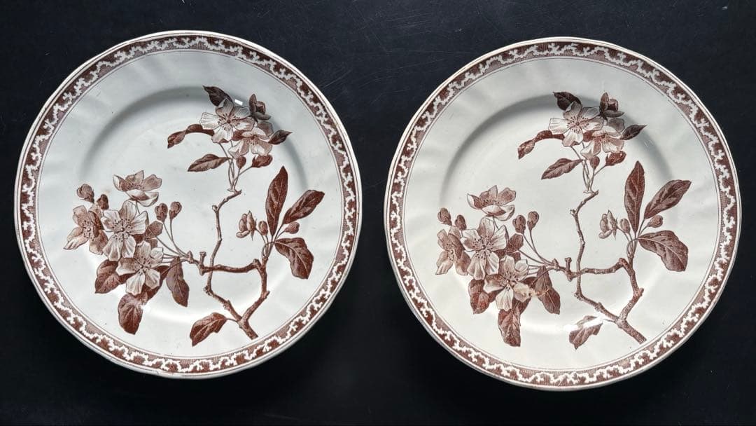 フランスアンティークプレート ブラウン　花柄2枚セット 2枚あり！優しげな花柄の皿（プレート） フランスアンティーク食器