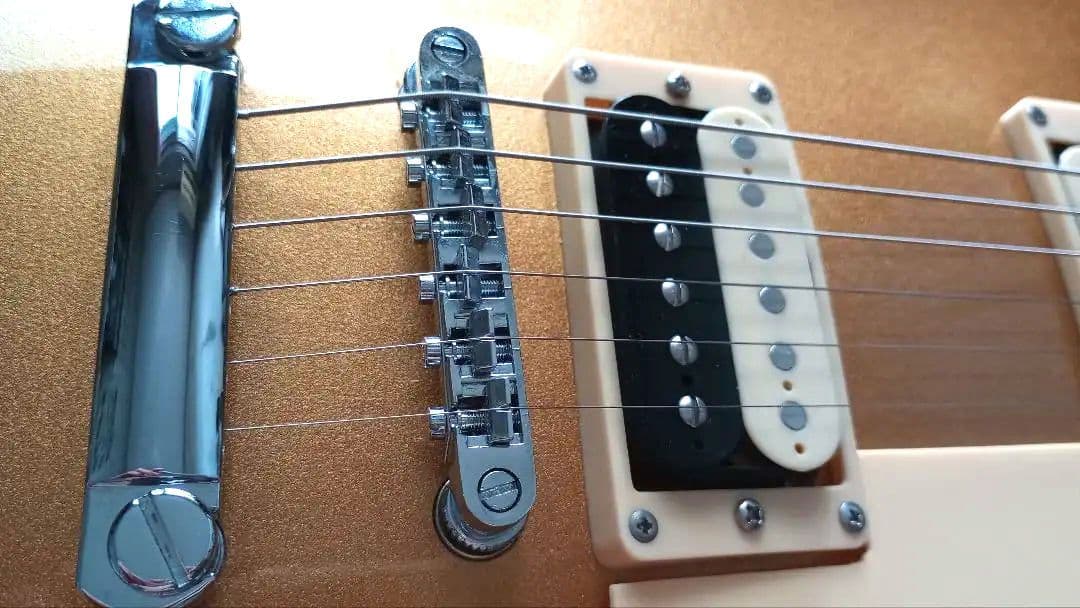 Bacchus レスポール BLP-STD 1957 GT 限定 極美品 - メルカリ