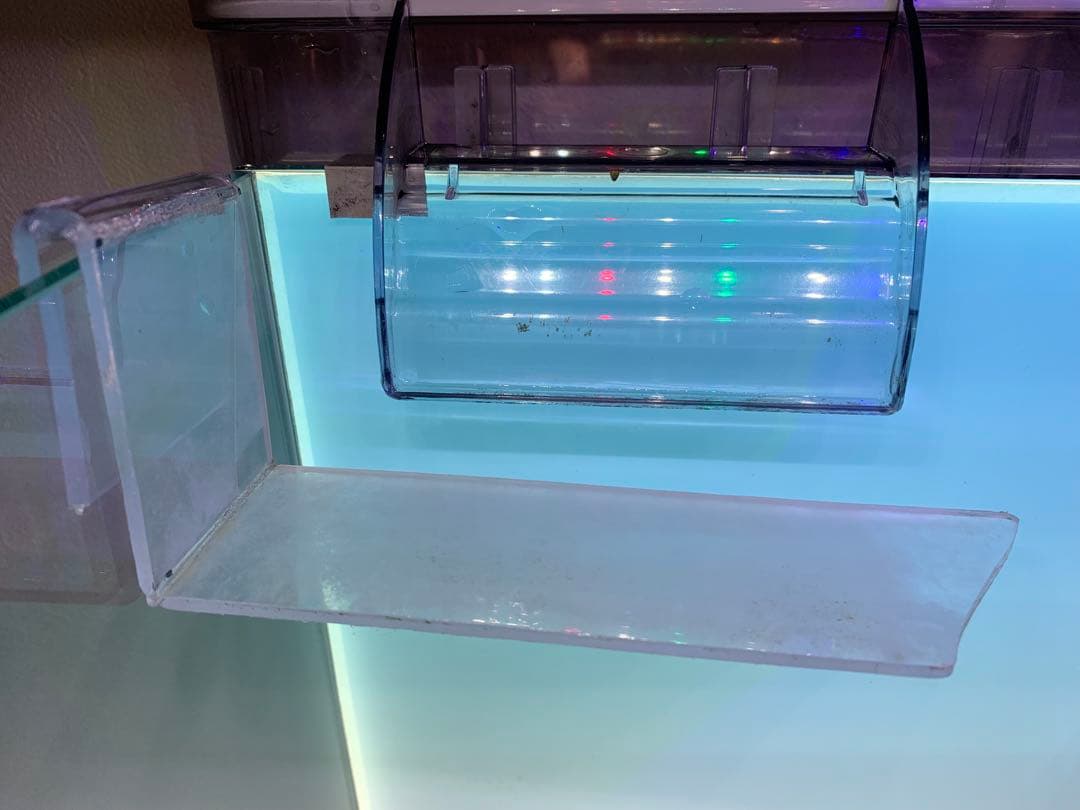 せ*い様 【引き取り限定】30㌢キューブガラス水槽 LEDライト付き 流木と