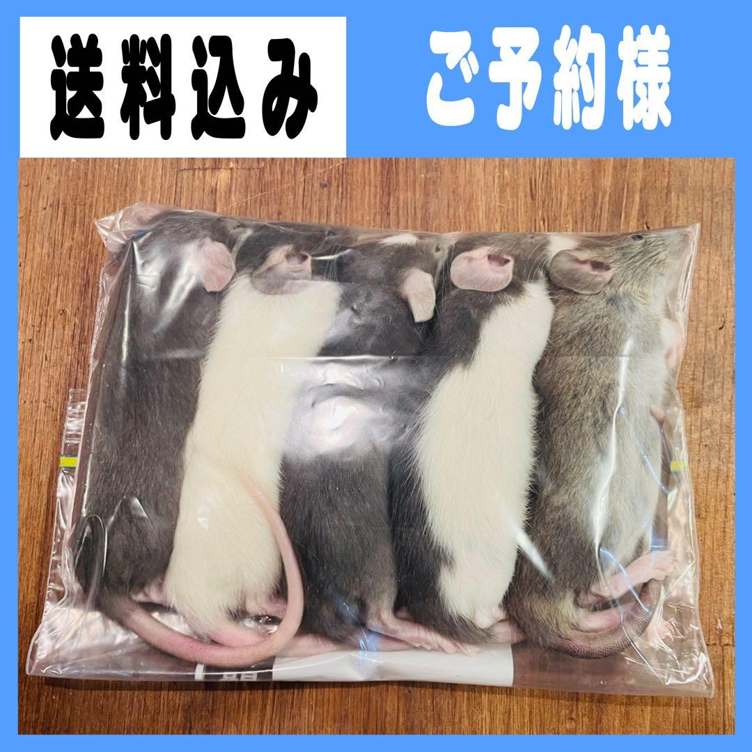 HIROフォーム② EOL) NVIDIA Jetson AGX Xavier Developer Kit (16GB) - 945-82972