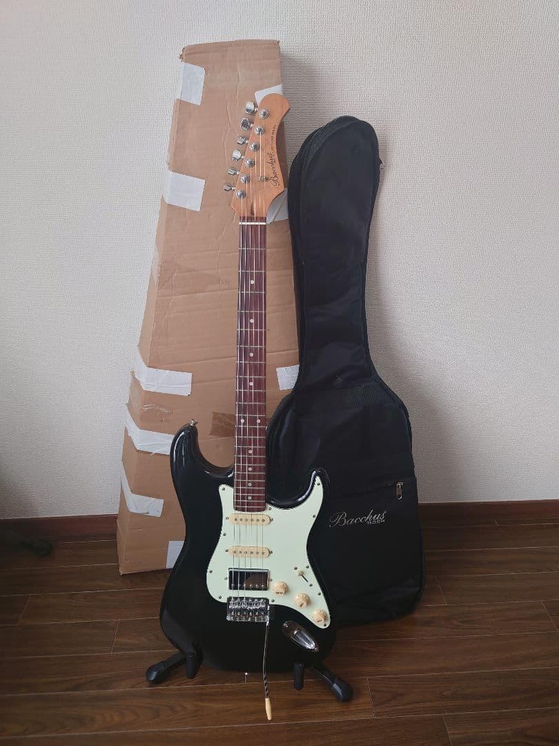 最終値下げ Bacchus BST-2-RSM/R BLK ストラト おまけ付き Bacchus Universe Series IKEBE ORIGINAL BST-2-RSM/R ALL BLACK