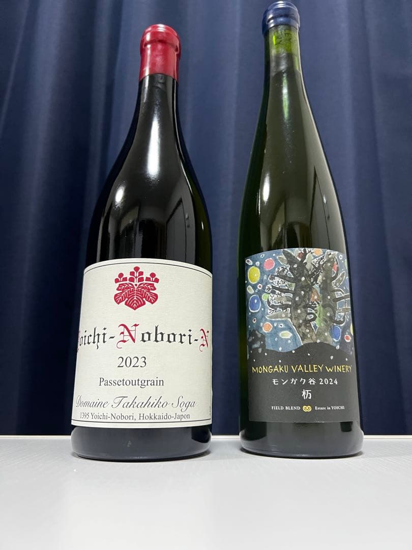ドメーヌ・タカヒコ ヨイチノボリ N 2023 モンガク谷ワイナリー2024杤