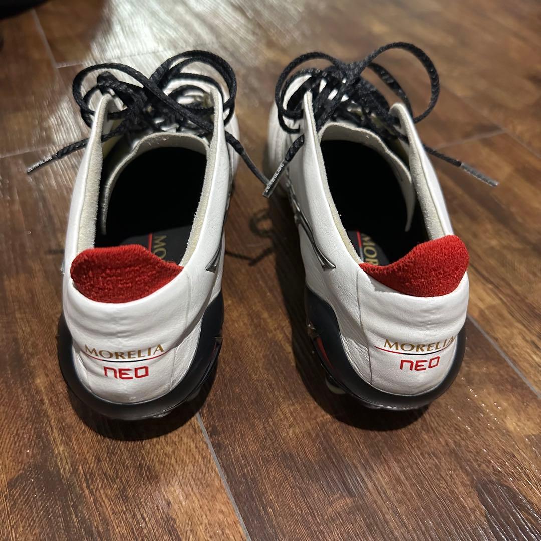 24.0cm モレリアネオ4