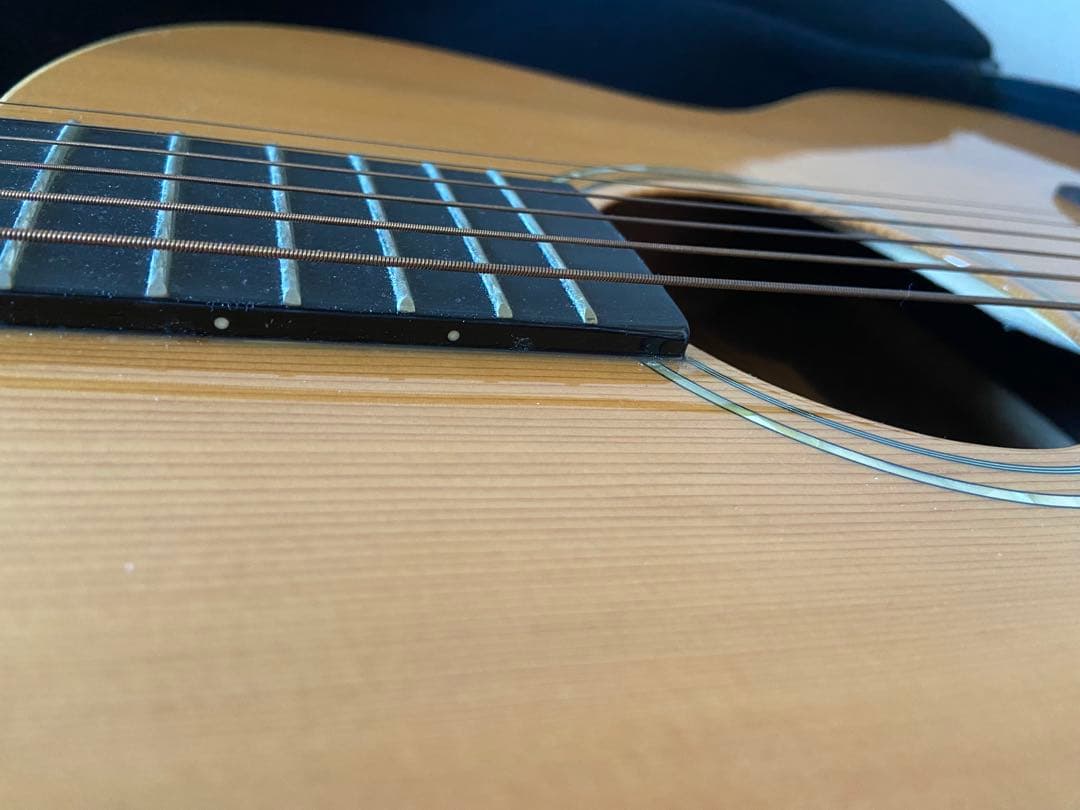 Samick TAJ-1 アコースティックギター TAJ