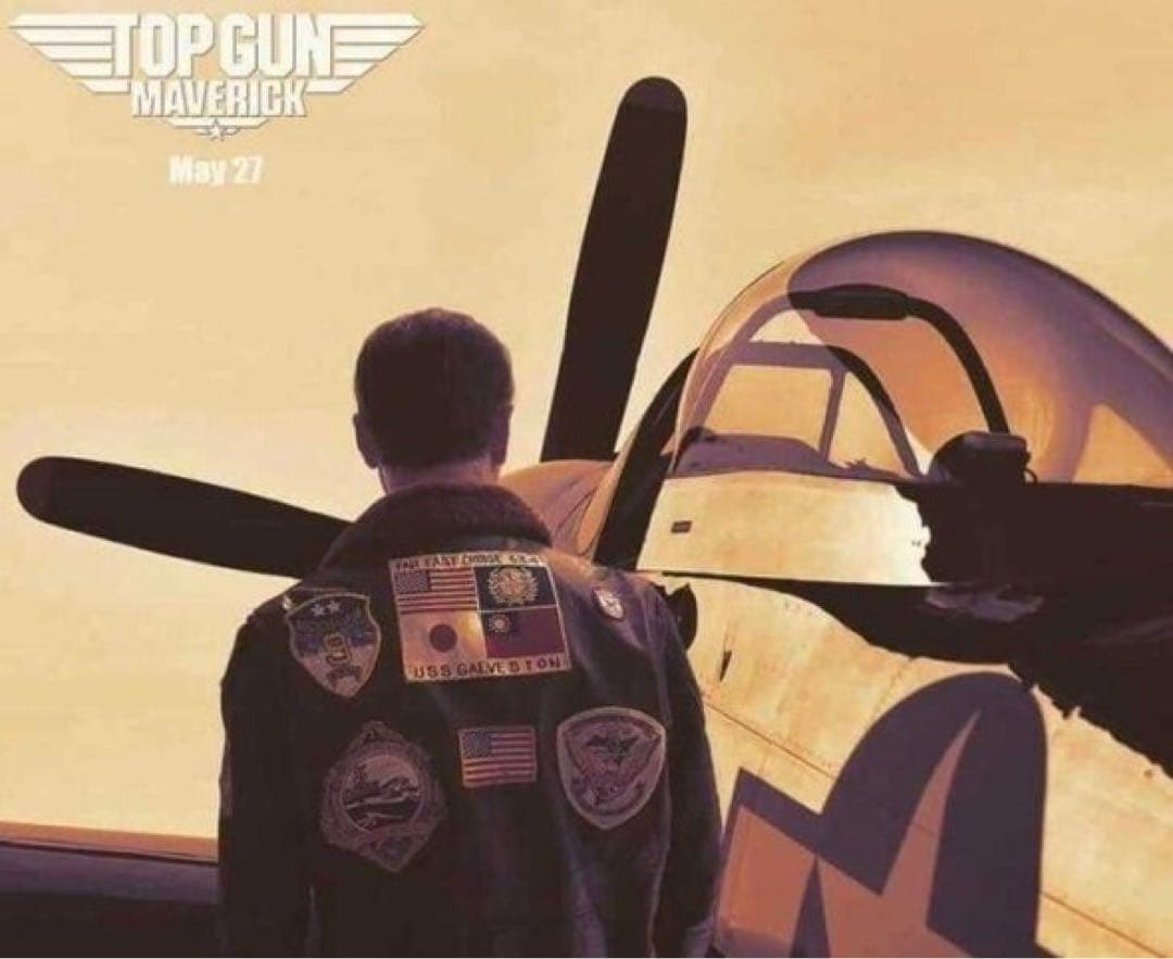 摩*楼様 超希少 AVIREXトップガン G-1 日本国旗モデル ジャケット タ