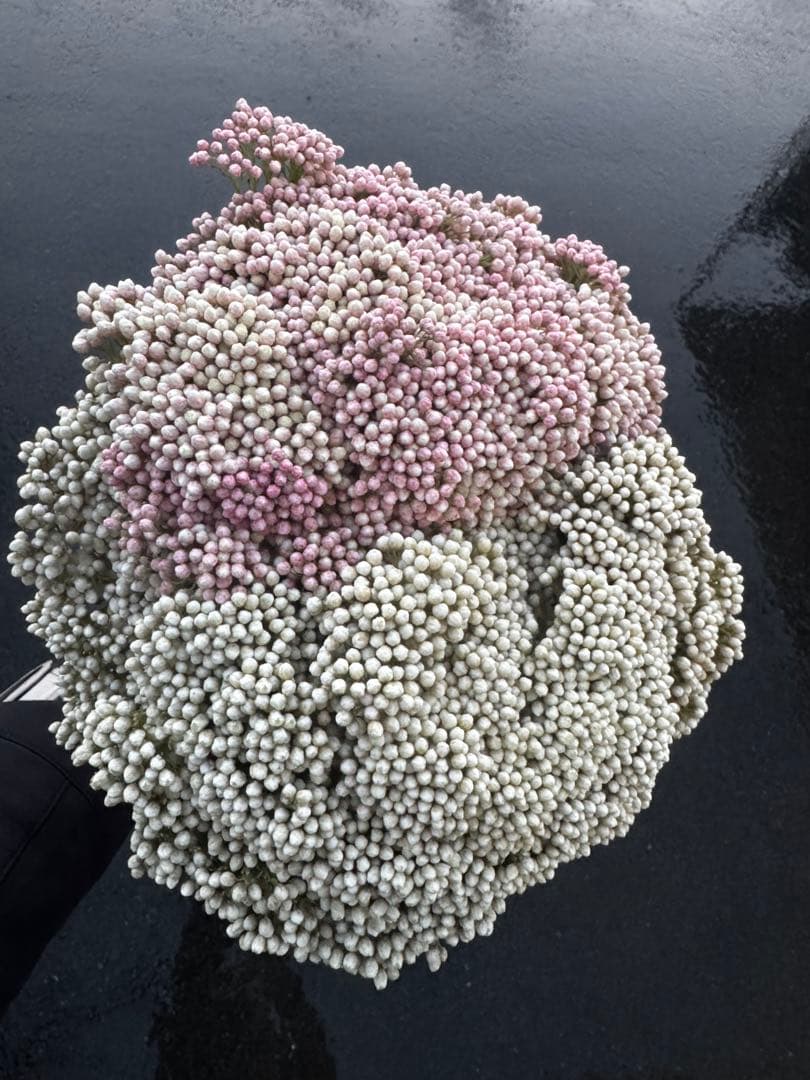 supicachiho様 リクエスト 4点 まとめ商品 361♡様 リクエスト 4点 まとめ商品 - メルカリ