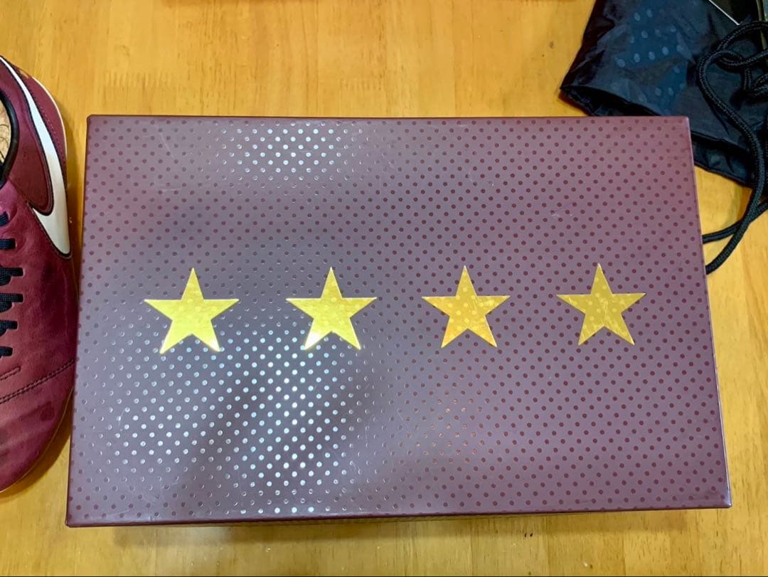 NIKE ティエンポレジェンド6 SE FGアンドレア ピルロ　25.0cm