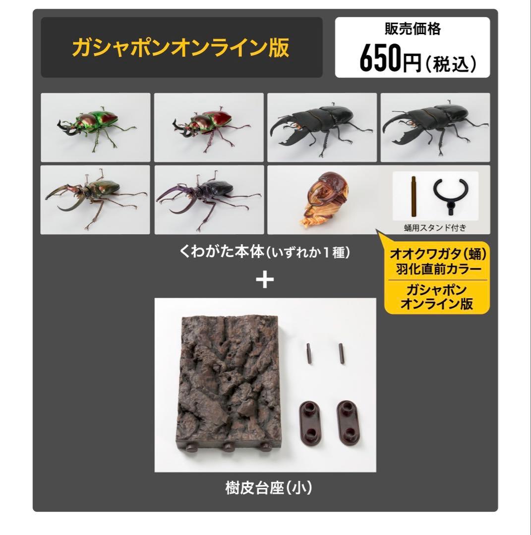 いきもの大図鑑 くわがた10 フェイスタメルシワバネクワガタ