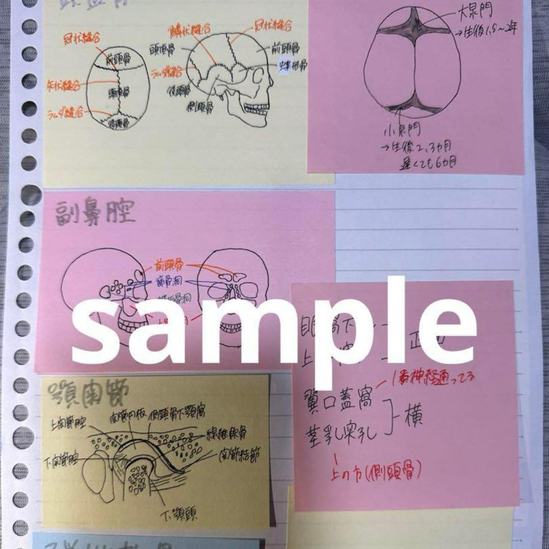 歯科衛生士国家試験まとめノート - メルカリ