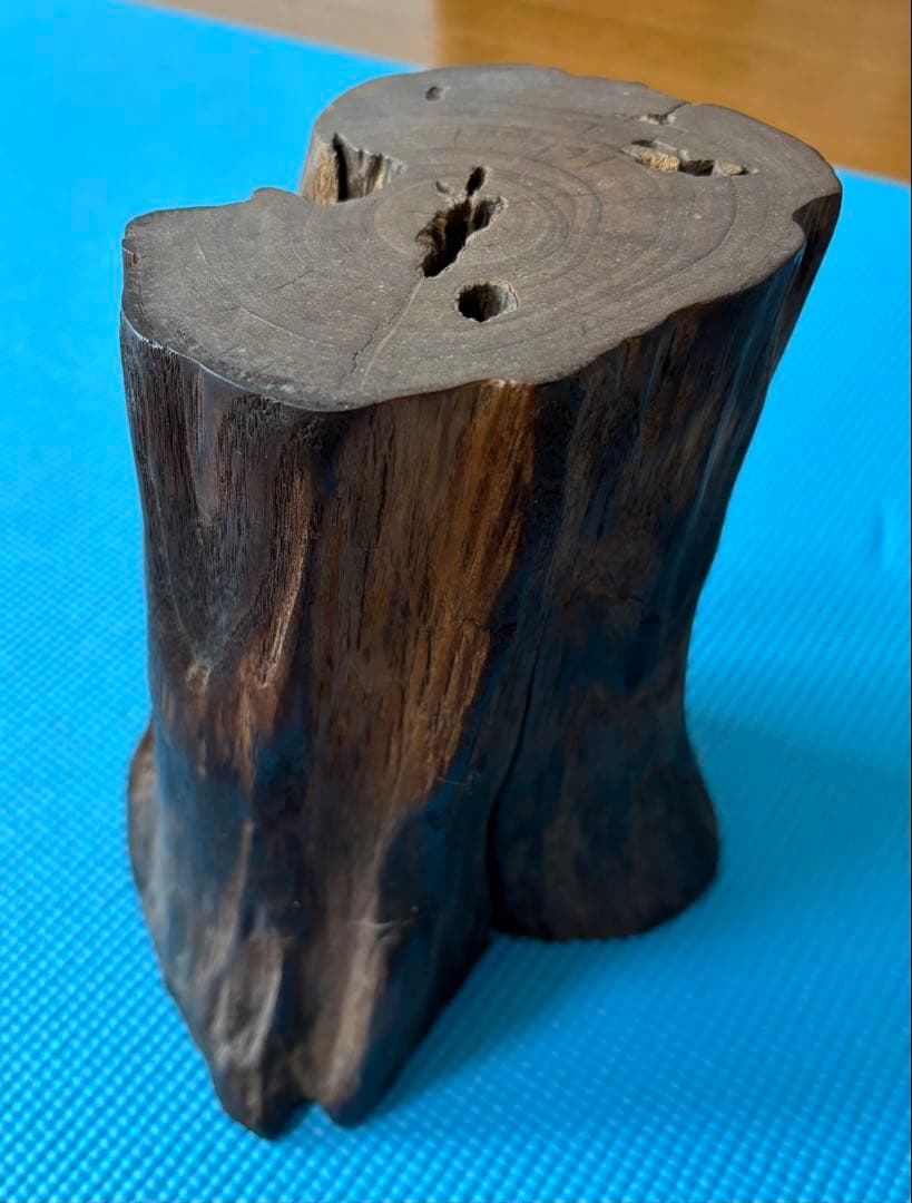 化石　珪化木　木化石　鉱物 珪化木(木化石) 原石 磨き 778g / Petrified wood - YouTube