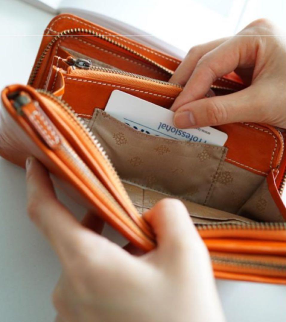 Dakota 長財布 トリコローレ 50 グリーン 0030275 - メルカリ