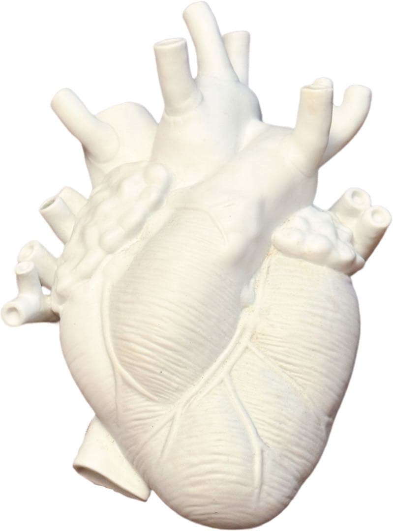 最終値下げ　SELETTI heart vase 心臓 フラワーベース 花瓶 Seletti Love In Bloom vase in porcelain