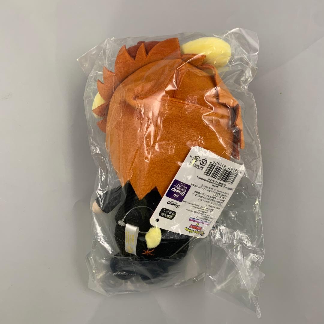 家庭教師ヒットマンREBORN!サンリオ ぬいぐるみ 沢田綱吉