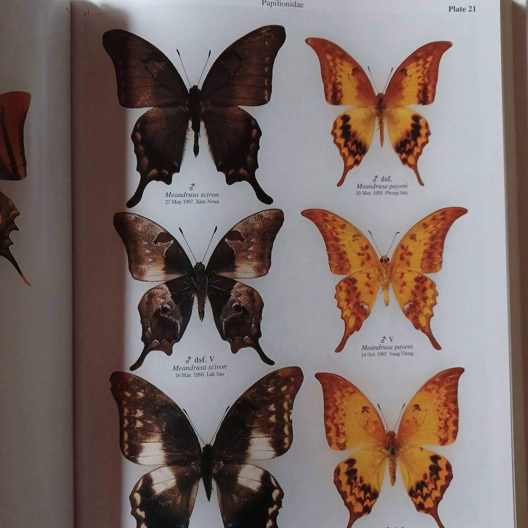 蝶の本 ラオス蝶類図譜 - メルカリ